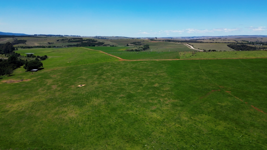 0 Bedroom Property for Sale in Stutterheim Rural Eastern Cape